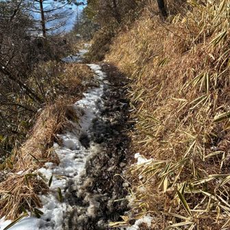 日向はもうドロドロです😅