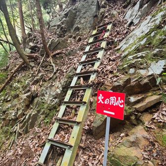 ⛰️近江百山⛰️ 猪背山・黒山 / araiotouの登山データ | YAMAP