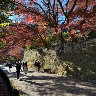 思わず足が止まる色合い