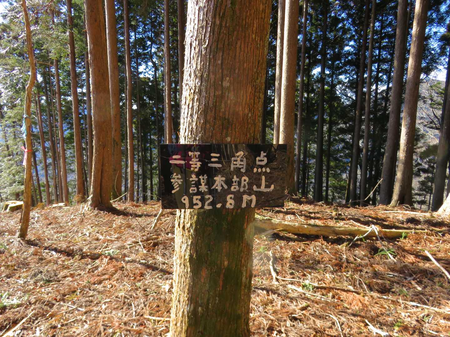 着いた～～～！！あ～大変なこっちゃ！