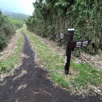 下山中、雨が降り出し、急いで矢倉沢峠分岐点まで戻って明神ケ岳方面へ