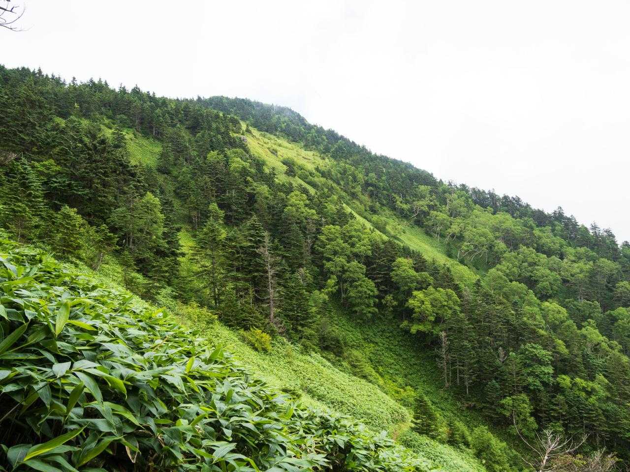 山頂あたりが見える。