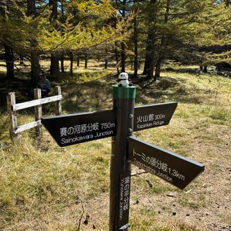 草すべりを下り切って湯の平分岐点に到着