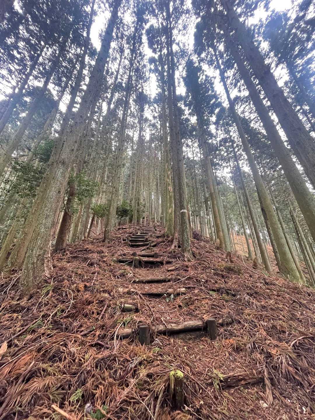 登って来ます🚶