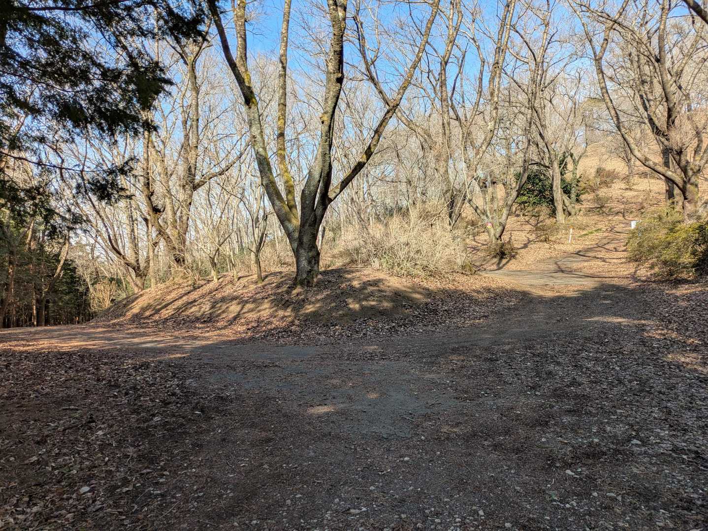 トンガリ山は左👈手倉森山は上☝