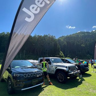 ごーごーこーた