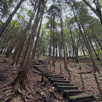 掃部ヶ岳に登ります