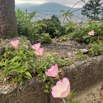 かなり開けてます。