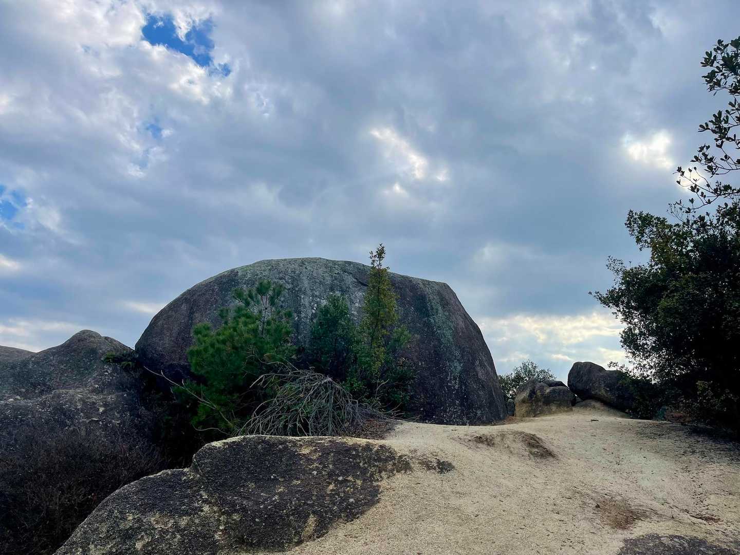 はと岩🪨