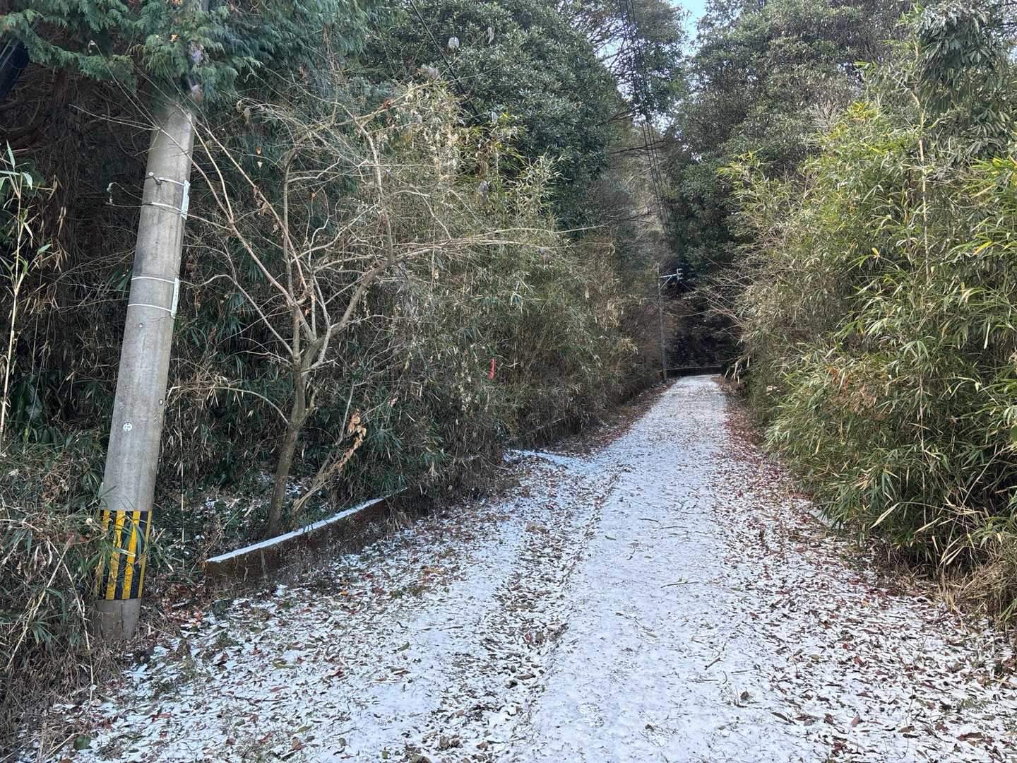 上がると雪少し積もってました
今日はRUNシューで滑る💦