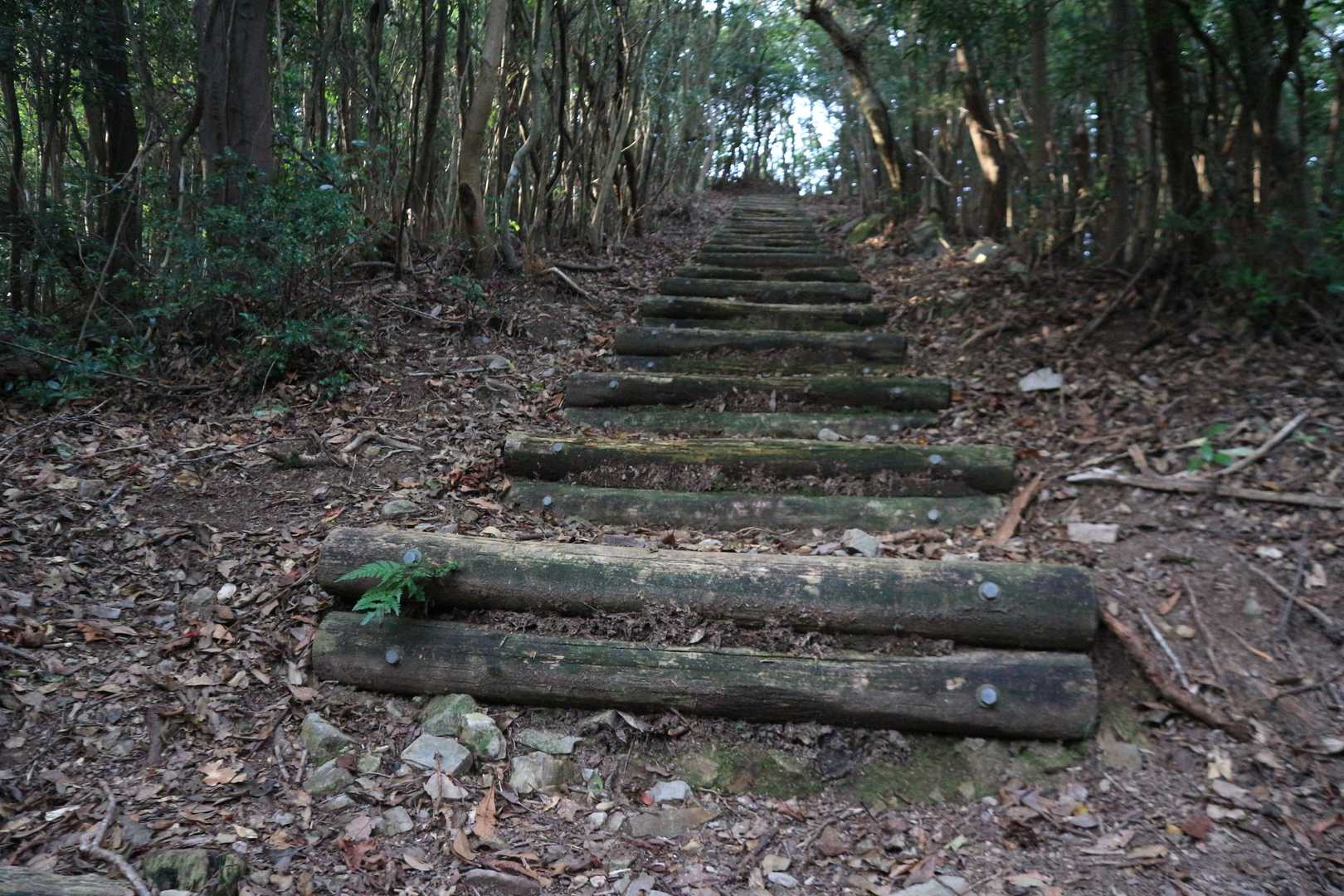 このルートはほとんど階段です😂
しかも1段1段高い修業コースですね😂
なかなかケツにきます😂