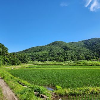 ここに山があるから