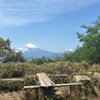 富士山独り占めです