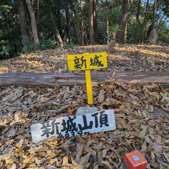 ⛰️新城　403m
スタンプ5個目🙃
結構時間かかった😔
