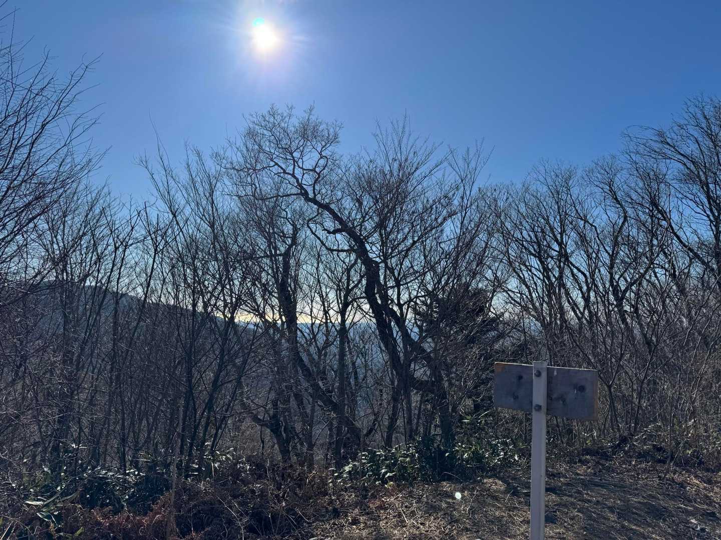 海の雰囲気は分かるが惜しい