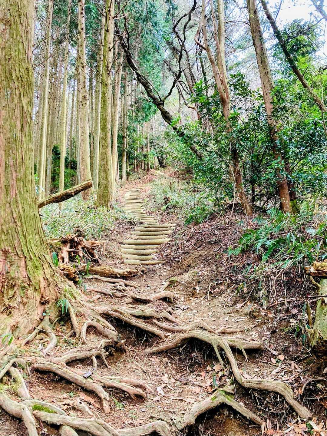 二上山登山口-竹内山-第二十四経塚「平石峠 妙音菩薩品」- 往復コースの写真