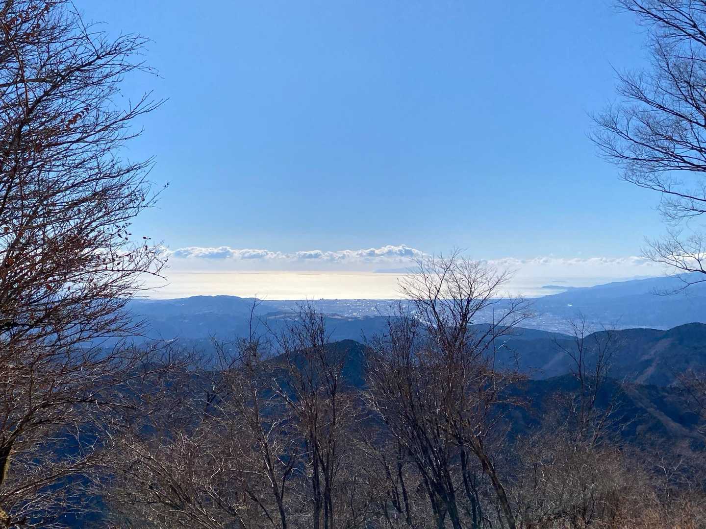 相模湾✨