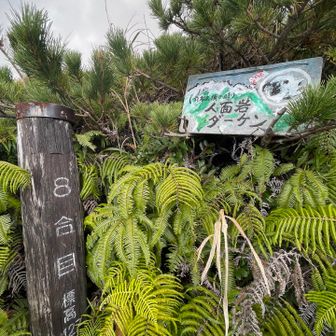   8合目　人面岩ダーケン️😳⁉️

  人面魚🐟流行ったよね🤣