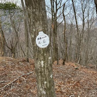 またピークだ、一安心😂