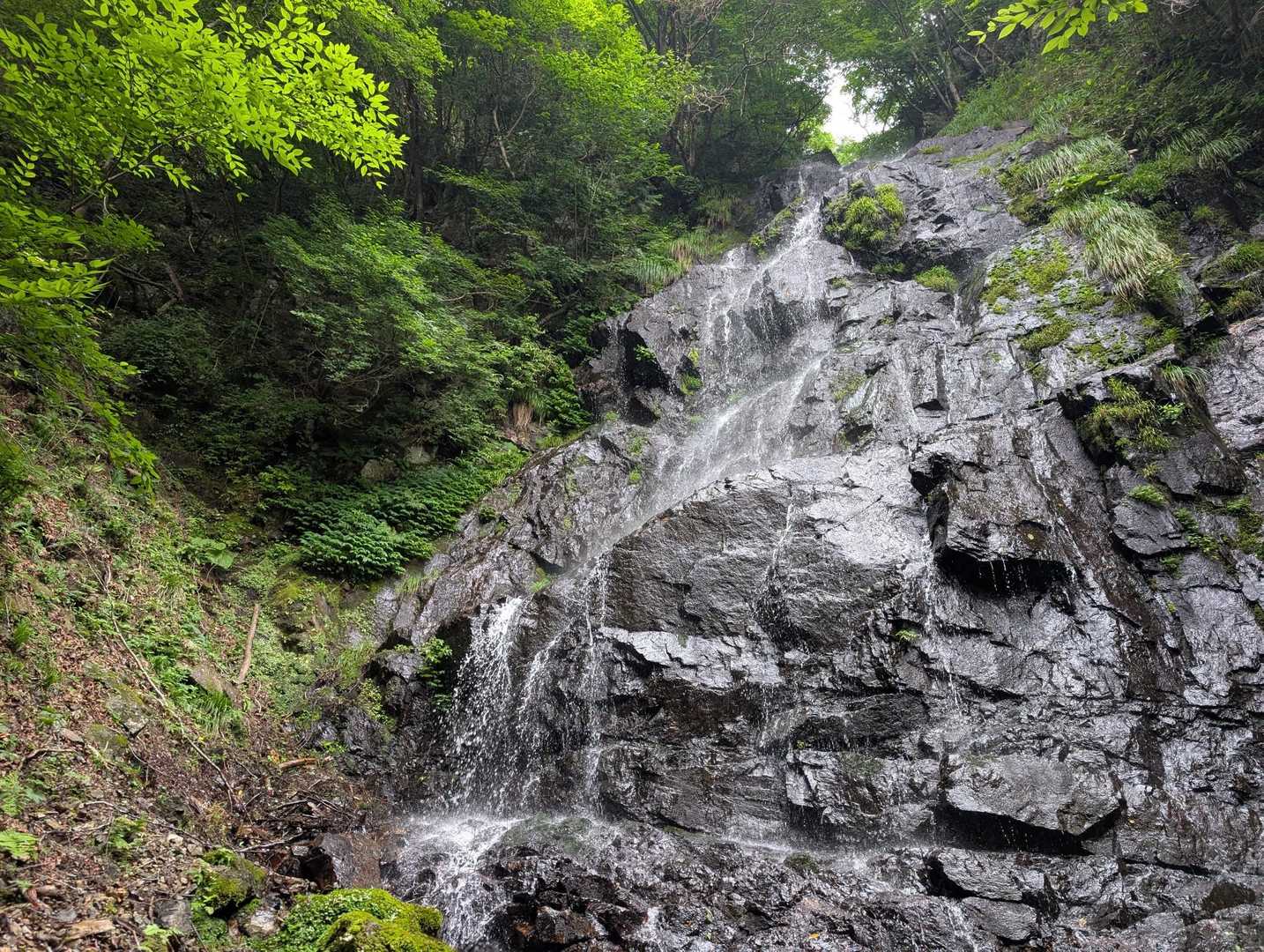ミストが気持ちいい
座ると立ち上がれない