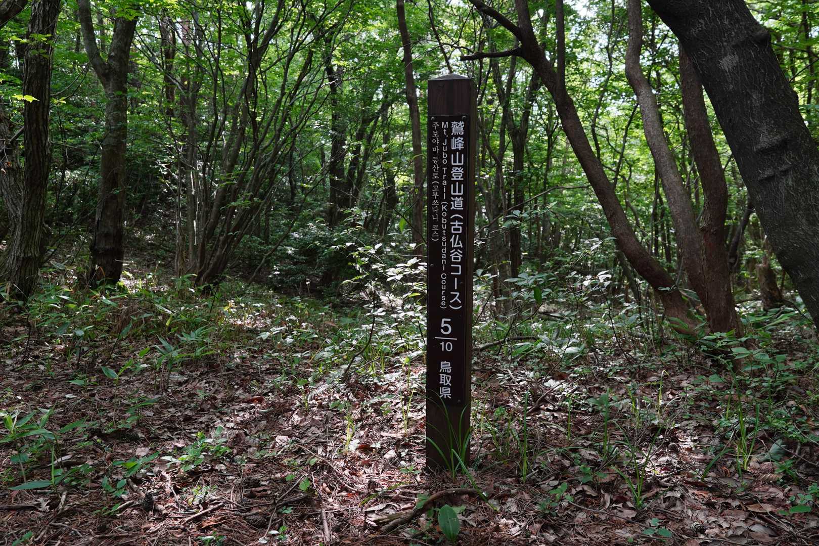 早朝にも関わらず気温は高く標高500mくらいまでは暑さでバテ気味
立ち止まっては休憩を繰り返す