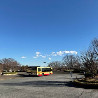 さぁ！買い物に行こうぞ♫