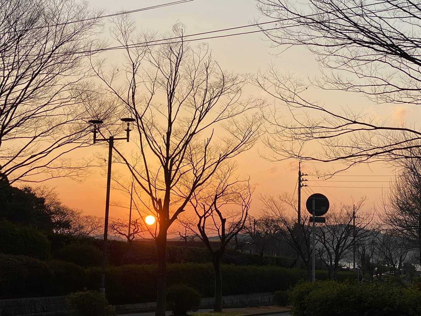 登山口から見えた夕陽