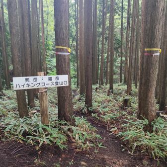 ほんまか？