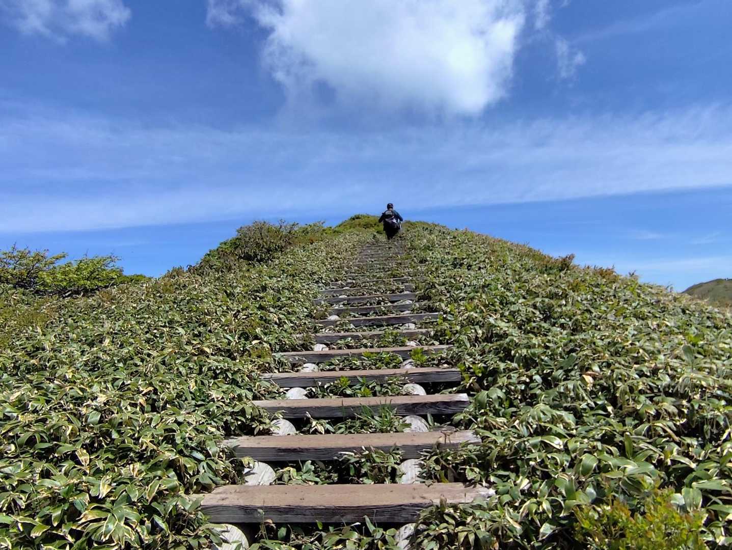 前仙ノ倉山天国への階段…