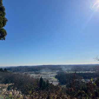 展望台からの眺め
