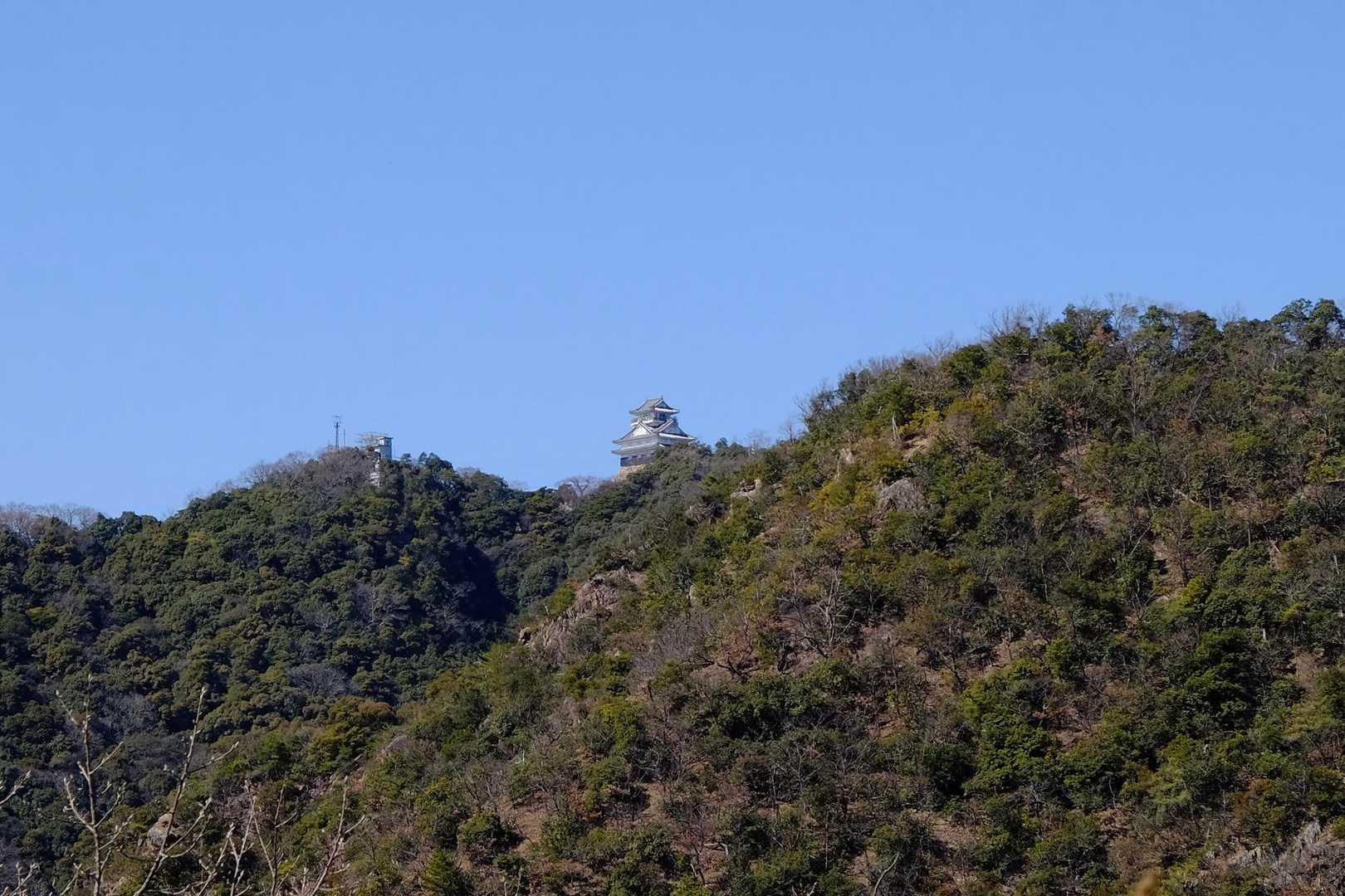 白山大権現参道口-野一色権現山-洞山-鷹巣山 往復コースの写真
