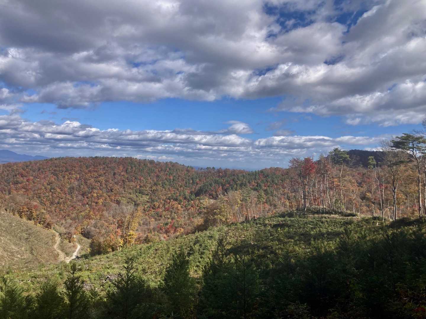 青麻山-あけら山-青麻山登山口 縦走コースの写真