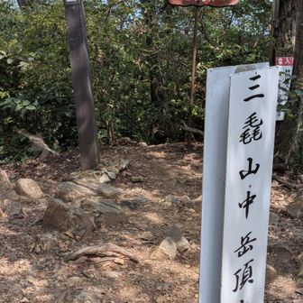 登り切ると中岳山頂

この時期の低山は蚊取線香が必需品
モノスゴク役に立つ

この先、下ったところにキツネノカミソリの群生地があります

まだ残っているかな〜期待🤗