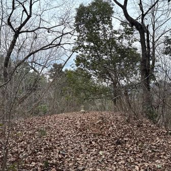 林道？あるいてサクッと坊主山。