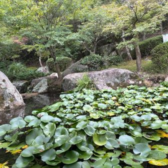登山道の入り口🚪

池があり心癒されて
さぁ〜出発🛫