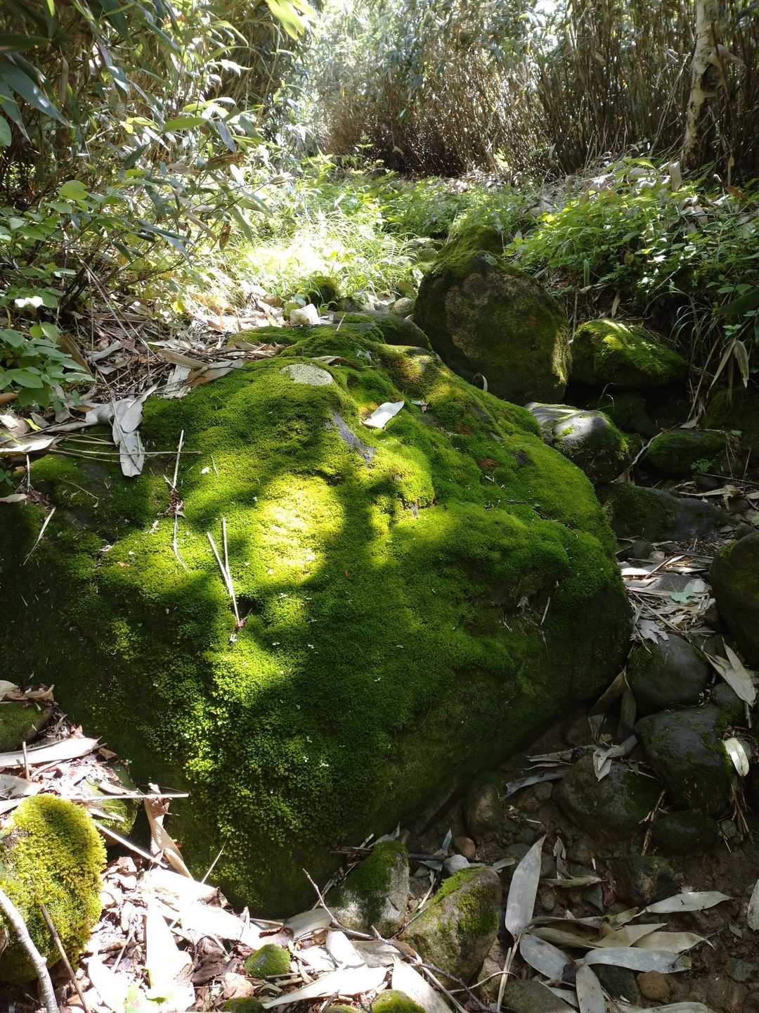 下山してきた方に三眺山からの眺めは最高ですよ😃と教えて頂いたので仕事でクタクタに疲れて足は重～いけどワクワク💃♪