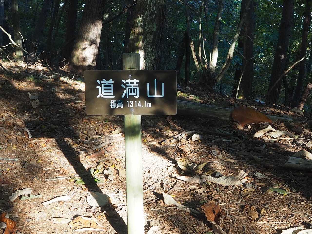 道満山

眺望ゼロです