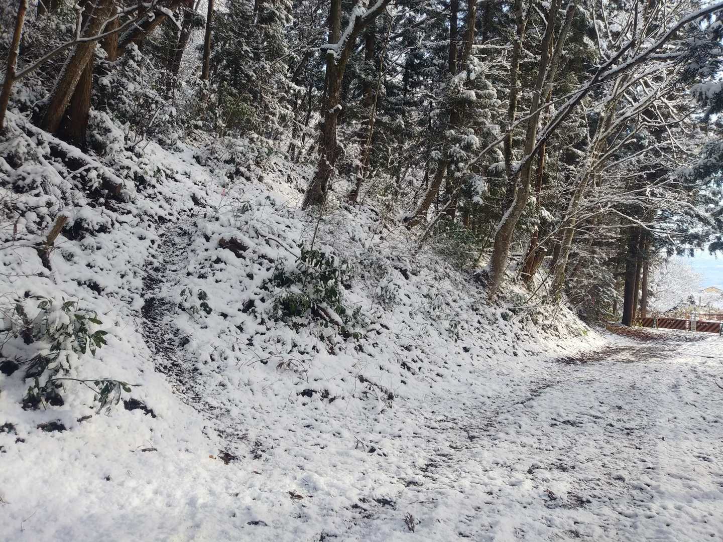 今日も南口手前の道から入山！