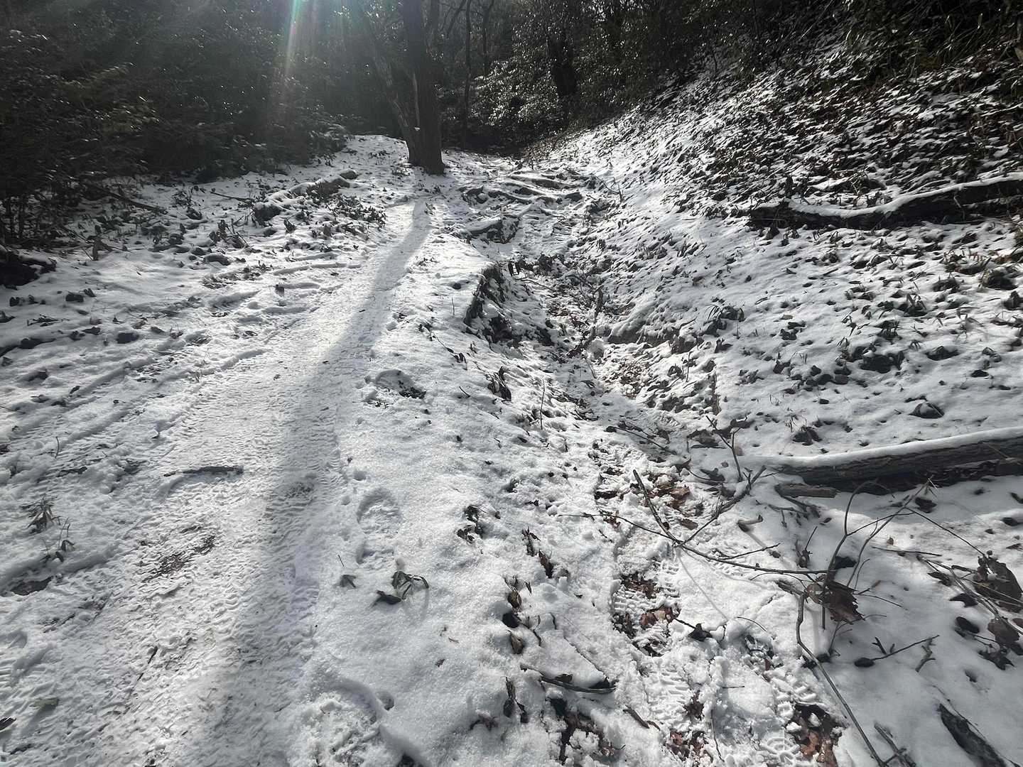 焼米ヶ原登山口-大原山 周回コースの写真