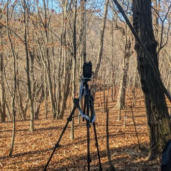 430は飛びがイマイチなのかな❓🤔なかなか応答頂けず、
アマチュア無線のメッカ、浅間尾根駐車場からそれほど離れてないんですが…
良いコンディション求め山頂付近をウロウロしてました。
日向はぽかぽか、日陰は🥶