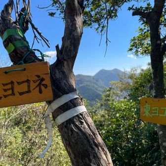 ここからは三国岳方面が望めます⛰️