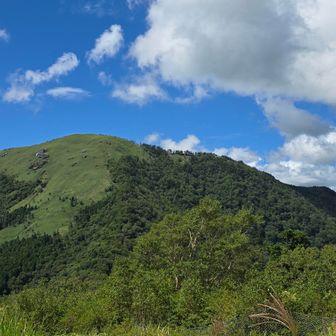 さっき下りてきた白髪山　今日は見張らし良き