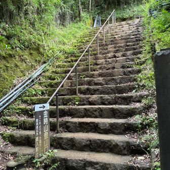 登山道終わり。
この先はバス停までの舗装道。