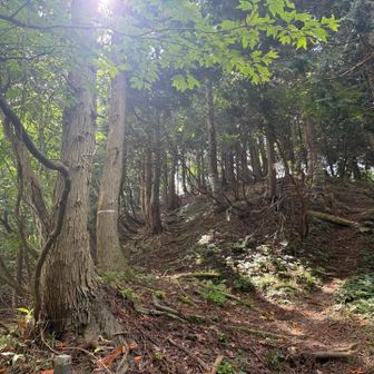 虎子山と違って初めはなだらか