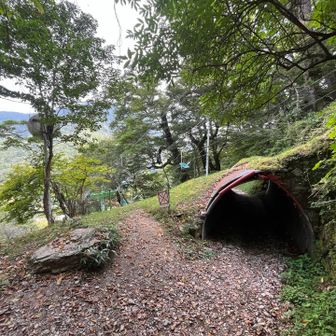 トンネル