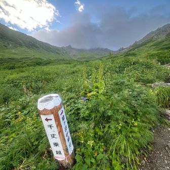 ここまで下山してきた