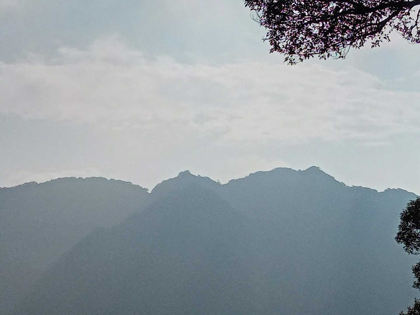                 展望✨