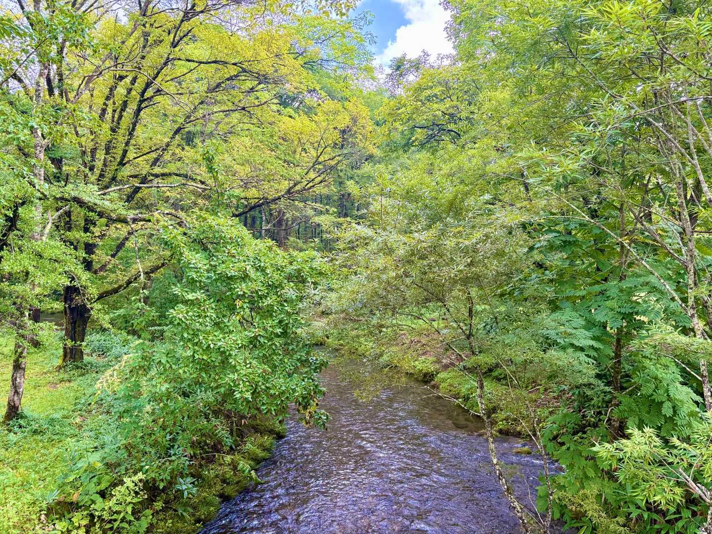 【周回】 高妻山（戸隠キャンプ場）の写真