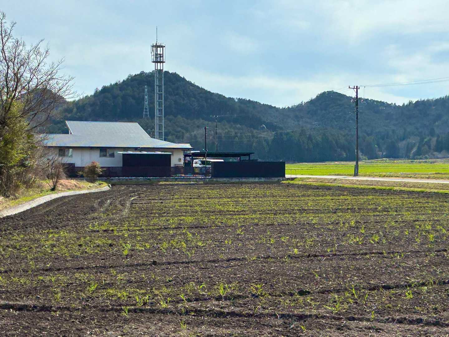 井ノ山