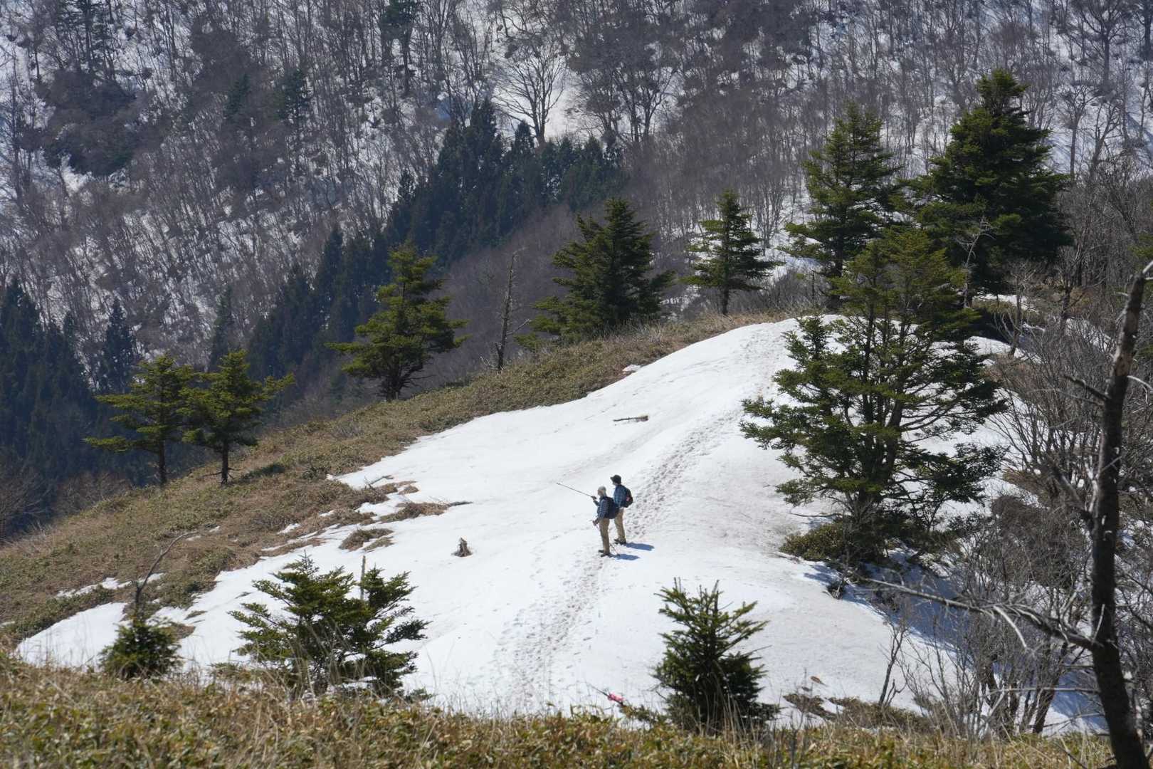 寒峰 周回コースの写真